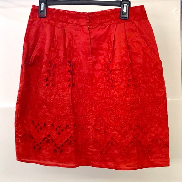 Baraschi Dresses & Skirts - Baraschi brand Ladies Skirt